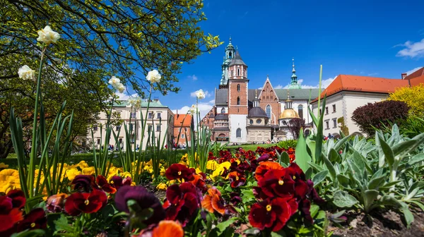 Vue de la cathédrale de Wawel à Kracovie — Photo