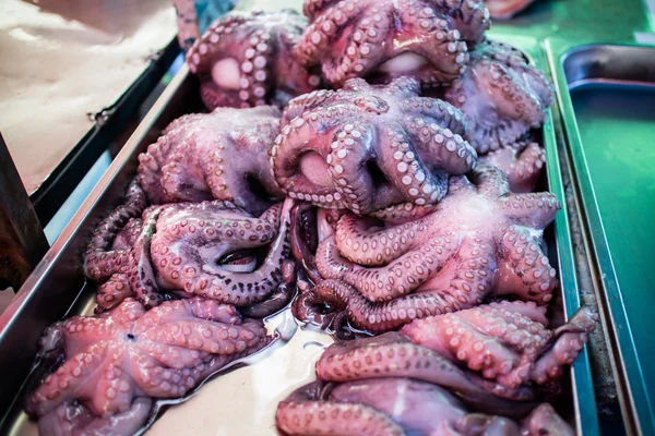 Malta piyasada taze çiğ ahtapot