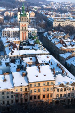 Lviv şehir havadan görünümü