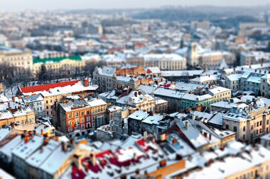 Lviv şehir havadan görünümü