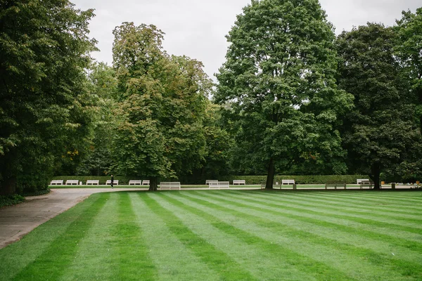 Veřejný park ve Varšavě — Stock fotografie