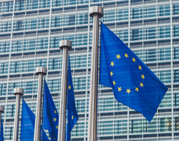 Флаги Европейского союза в Брюсселе
