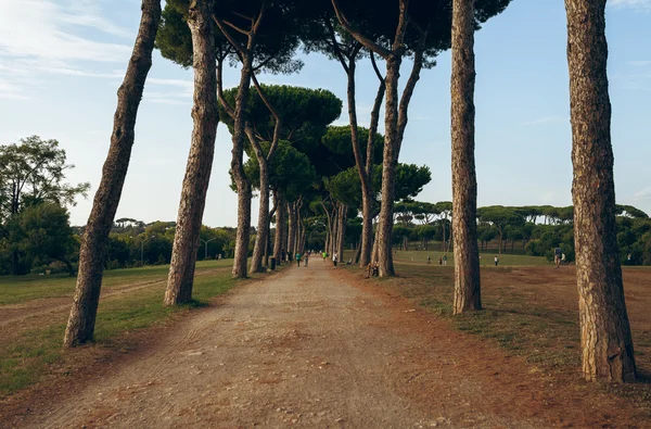 Roma'nın güzel park — Stok fotoğraf