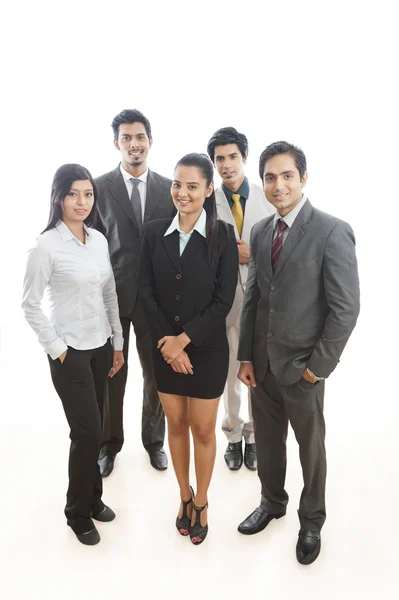 Portrait of five business executives standing — Stock Photo, Image