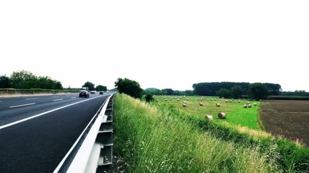 Estrada ao longo de um campo verde — Vídeo de Stock