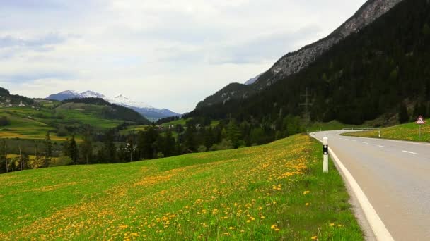 Veicoli che attraversano un campo di fiori — Video Stock