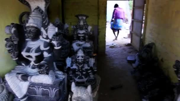Statues of Hindu gods — Stock Video