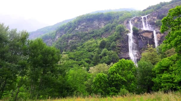 Зафиксированный снимок водопада — стоковое видео