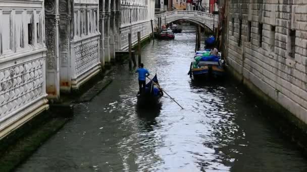 Man rowing a gondola — Stock Video