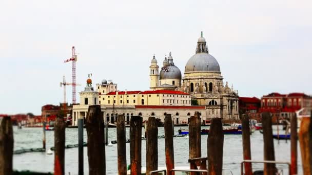 Katedrála Santa Maria della Salute — Stock video