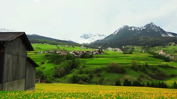 Zoom em de um campo de flor — Vídeo de Stock