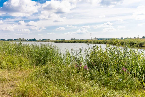 Oevers Van Een Klein Steppemeer Zijn Dicht Begroeid Met Hoog — Stockfoto