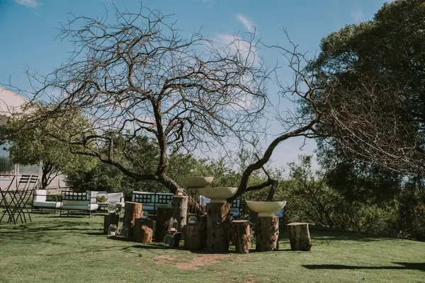 Koltuklar ve bahçe masası tencere, çiçek ve taklit deri kumaşlarla süslenmiş..
