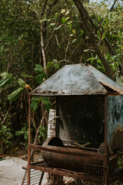 Plajda palmiyeli barbekü.