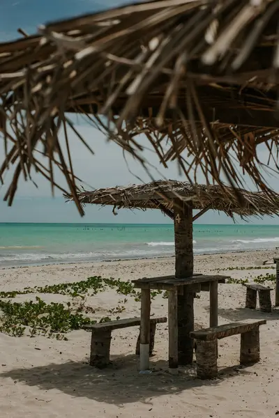 Denizde beyaz kum ve saman hasırları