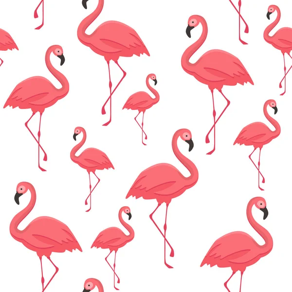 Płynny Wzór Flamingiem Białym Tle — Wektor stockowy