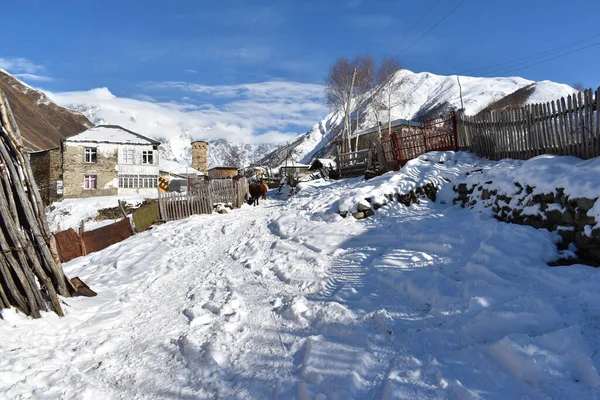 Winter Ushguli Caucasus Mountains Samegrelo Zemo Svaneti Region Georgia — Stock Photo, Image