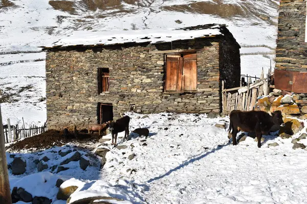 Kış Ushguli 'de Kafkasya Dağları' nda Samegrelo-Zemo Svaneti Bölgesi, Gürcistan