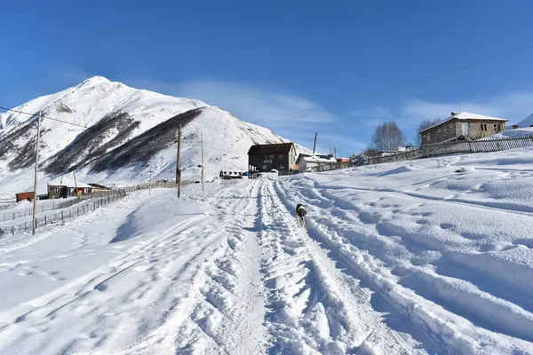 Inverno Ushguli Nas Montanhas Cáucaso Região Samegrelo Zemo Svaneti Geórgia — Fotografia de Stock