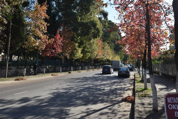 Yol kenarında tabela olan bir cadde.