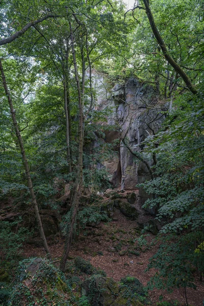 오른쪽에서 만발 한 바위 벽 위의 숲을 바라봄. — 스톡 사진
