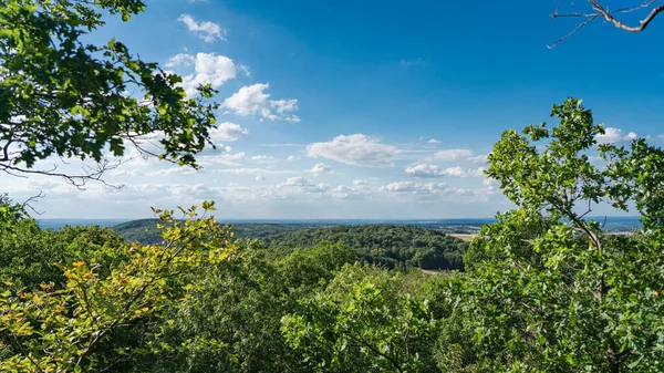 Utsikt från toppen av bergväggen i Stenzelberg över skogsområdet långt till Köln. — Stockfoto