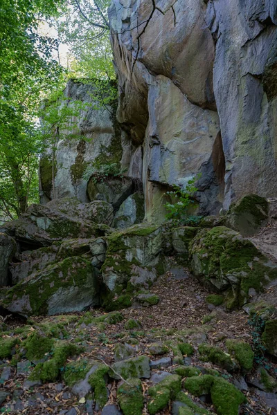 Rochers au pied d'un mur escarpé dans la forêt. — Photo