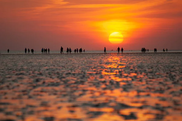 夕日の前にビーチやワットの人々のシルエットのパノラマ. — ストック写真