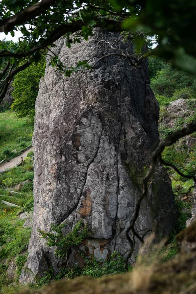 Pilar de roca detrás de las ramas en frente de la cara de roca en Stenzelberg. — Foto de Stock