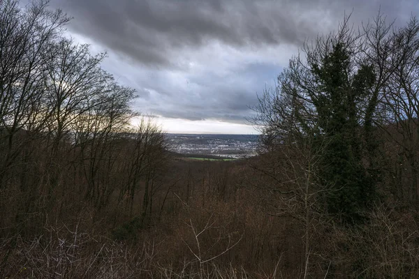 Vista sobre Bonn da colina de Rosenau em janeiro. — Fotografia de Stock