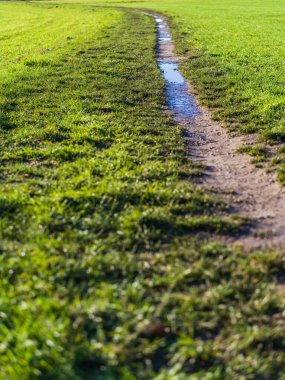 Fırtınadan sonra tarlanın kenarında büyük bir su birikintisi..