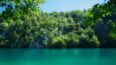 Plitvice Gölleri Ulusal Parkı 'ndaki aşırı büyümüş kaya duvarının yansıması..