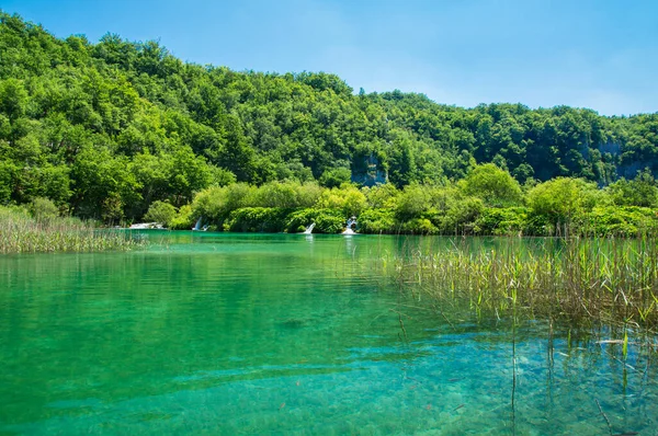 Bewachsene Hügel hinter einem See im Nationalpark Plitvicer Seen. — Stockfoto