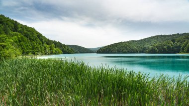 Yazın tepeler arasında sazlıklar olan göl.