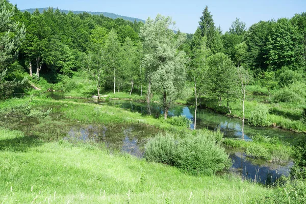 Güneşin altında tepelerin arasında bir gölet.