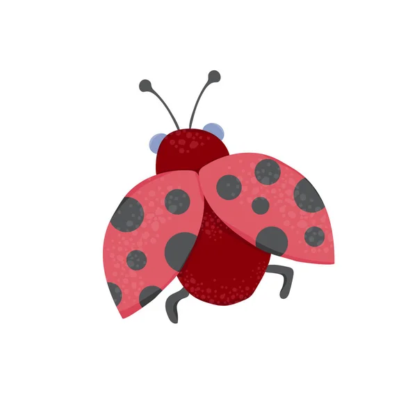 Ručně Kreslená Plochá Vektorová Ilustrace Berušky Roztomilý Hmyz Může Být — Stockový vektor