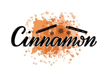 Paketler, ürün tasarımı, afiş, çıkartma, baharat dükkanı fiyat listesi ve dekorasyon için tarçın harflerinin vektör çizimi. Web ya da yazdırmak için el yazısıyla yazılmış izole bir kelime