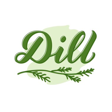 Paketler, ürün tasarımı, afiş, çıkartma, baharat dükkanı fiyat listesi ve dekorasyon için dereotu harflerinin vektör çizimi. Web ya da yazdırmak için dağınık tohumlu el yazısı sözcük