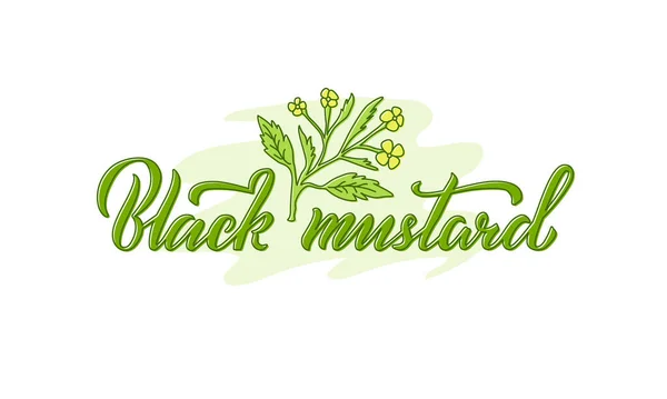 Ilustración Vectorial Letras Mostaza Negra Para Paquetes Diseño Productos Pancartas — Vector de stock
