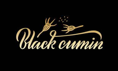 Vector illustration of black cumin lettering for packages, product design, banners, stickers, spice shop price list and  decoration. Handwritten phrase with floral graphic elements for web or print clipart