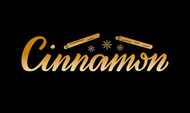 Paketler, ürün tasarımı, afiş, çıkartma, baharat dükkanı fiyat listesi ve dekorasyon için tarçın harflerinin vektör çizimi. Web ya da yazdırmak için el yazısıyla yazılmış izole bir kelime