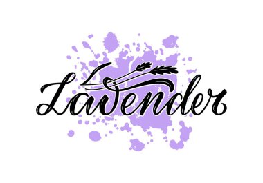 Paketler, ürün tasarımı, afiş, çıkartma, baharat dükkanı, yeşillik mağazası fiyat listeleri için lavanta harflerinin vektör çizimi. Web ya da yazıcı için çiçek içeren el yazısıyla yazılmış bir kelime