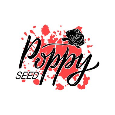 Paketler, ürün tasarımı, afiş, baharat dükkanı fiyat listeleri için haşhaş tohumu harflerinin vektör çizimi. Web ya da yazdırmak için çiçek içeren el yazısıyla yazılmış ifade