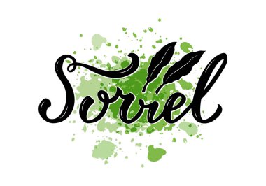 Paketler, ürün tasarımı, afiş, baharat dükkanı fiyat listeleri için doru harflerin vektör illüstrasyonu. Web ya da yazdırmak için yapraklı el yazısı sözcük