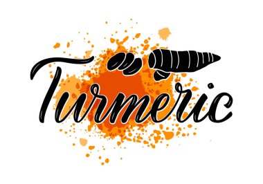 Paketler, ürün tasarımı, afiş, baharat dükkanı fiyat listeleri için zerdeçal harflerinin vektör çizimi. Kökü ve dilimleri olan el yazısıyla yazılmış bir kelime. 