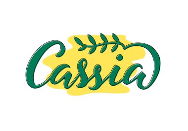 Paketler, ürün tasarımı, afişler, çıkartmalar, baharat dükkanı fiyat listesi ve dekorasyon için Cassia harflerinin vektör çizimi. Web ya da yazdırmak için çiçek desenli el yazısıyla yazılmış izole sözcük