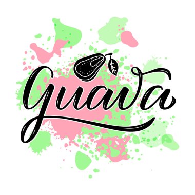 Ürün tasarımı, afiş, poster, paket, reklam ve kıyafetler için guava harflerinin vektör çizimi. Web tasarımı ya da yazdırma için el yazısıyla yazılmış izole bir kelime