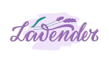 Paketler, ürün tasarımı, afiş, çıkartma, baharat dükkanı, yeşillik mağazası fiyat listeleri için lavanta harflerinin vektör çizimi. Web ya da yazıcı için çiçek içeren el yazısıyla yazılmış bir kelime