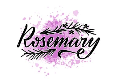 Paketler, ürün tasarımı, afiş, baharat dükkanı fiyat listeleri için biberiye harflerinin vektör çizimi. Web ya da yazdırmak için yapraklı ve çiçekli el yazısı sözcük