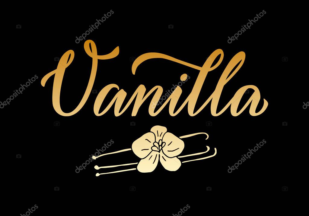 Vector illustration of vanilla lettering for packages, product design, banner, sticker, spice shop price list and  decoration. Handwritten isolated word with a flower